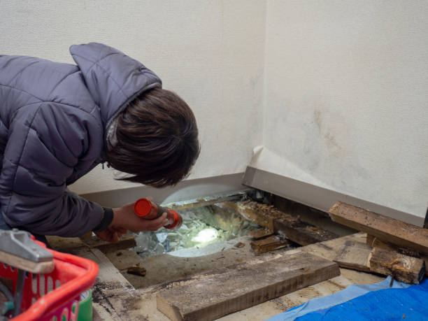 Best Crawl Space Mold Remediation  in Blythe, CA